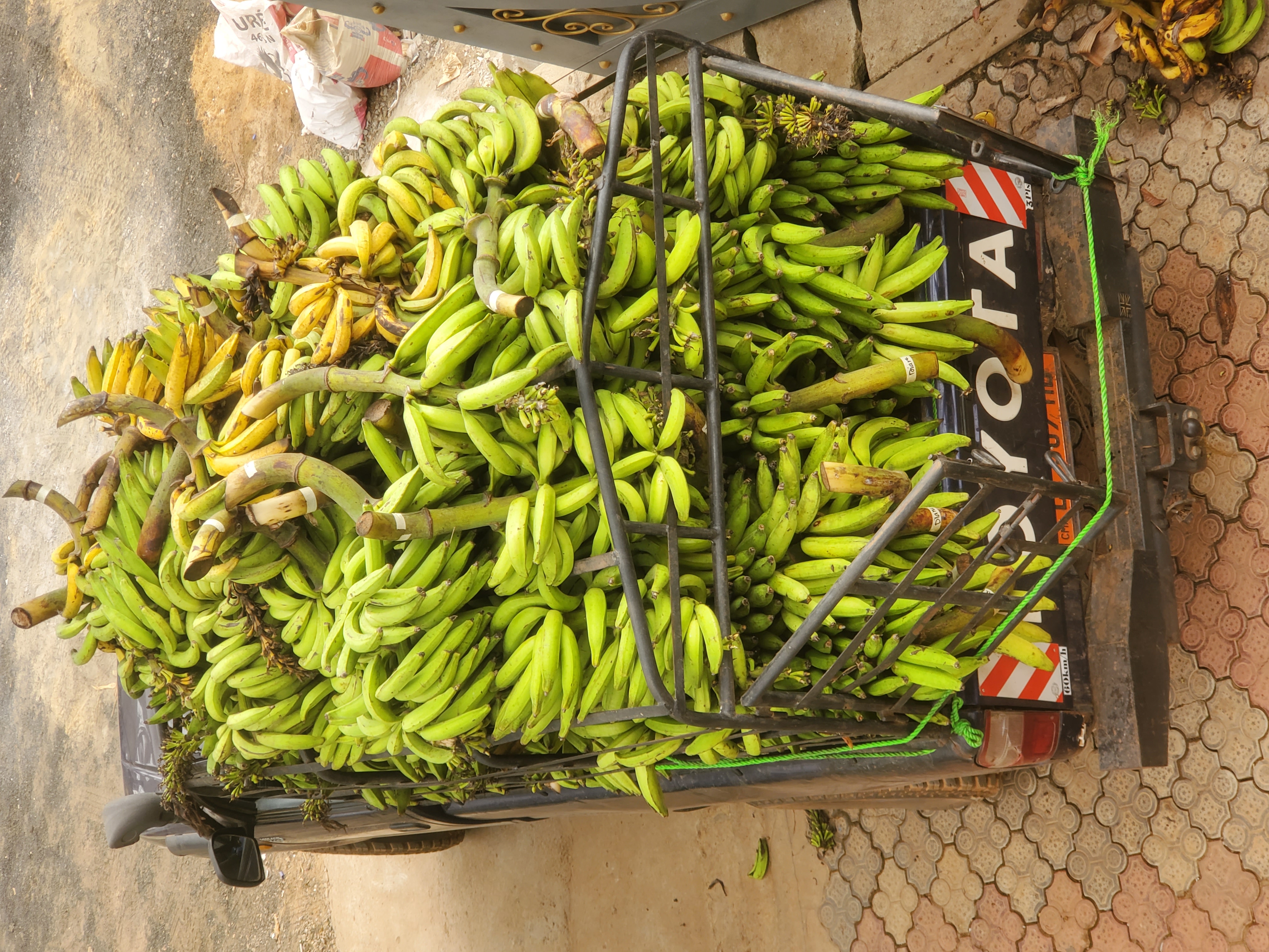 Approvisionnement des cantines scolaires